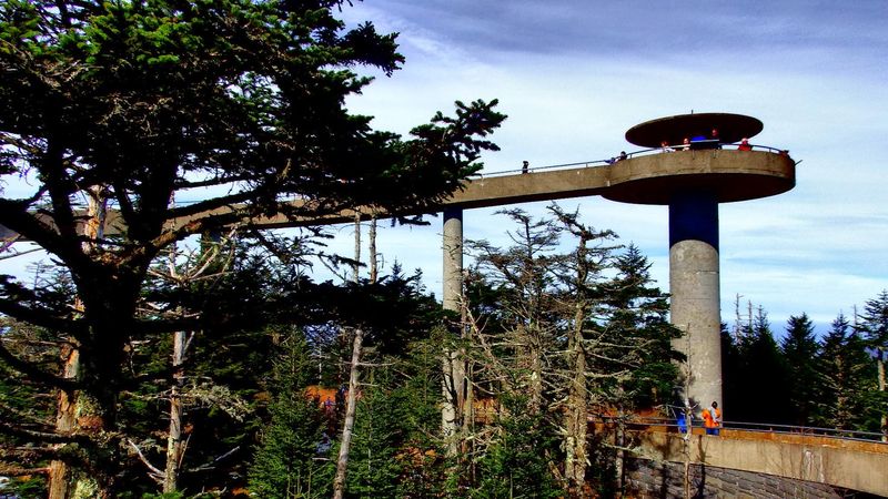 Clingmans Dome - Bryson City, Swain County