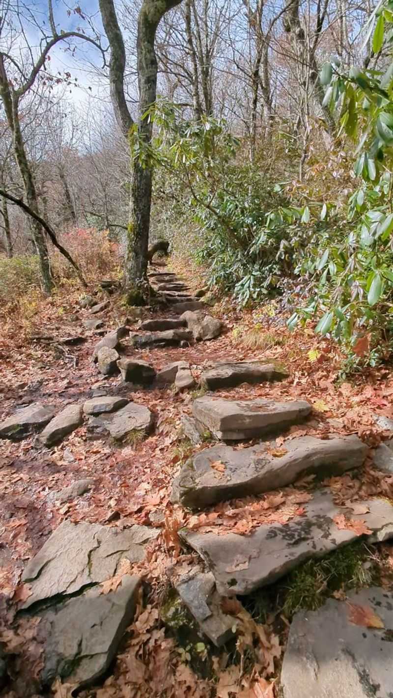 Mount Pisgah Trail