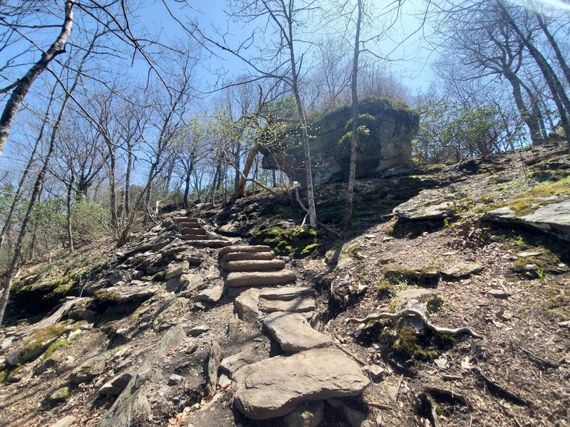 Bearwallow Mountain