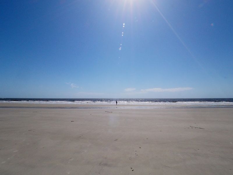 Sapelo Island