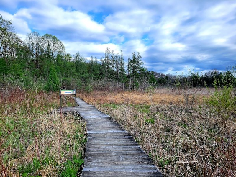J. Arthur Herrick Fen Nature Preserve