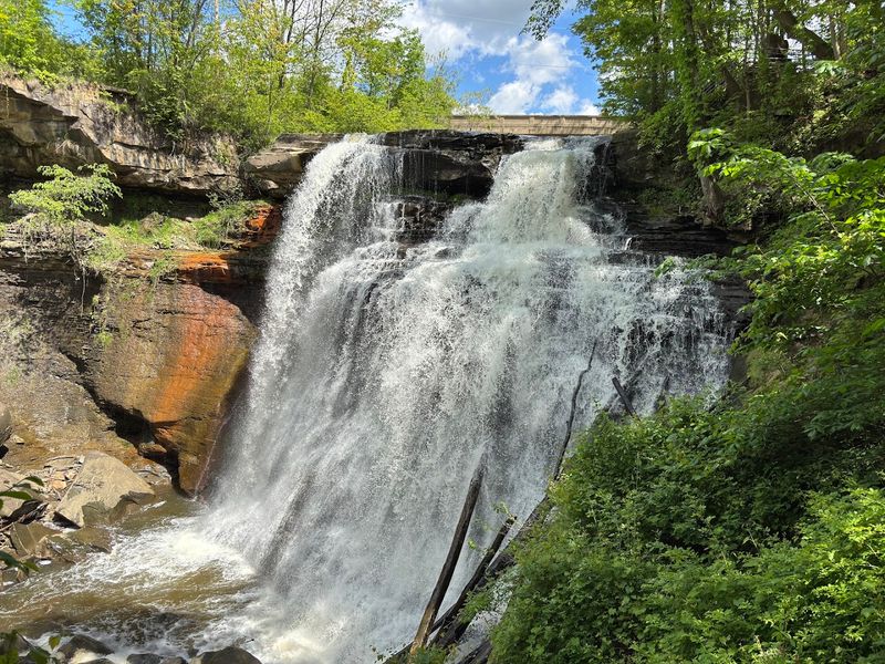 Brandywine Gorge Falls Lower View Trail Variant