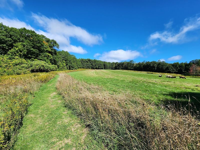 Wachusett Meadow Wildlife Sanctuary &ndash; Princeton