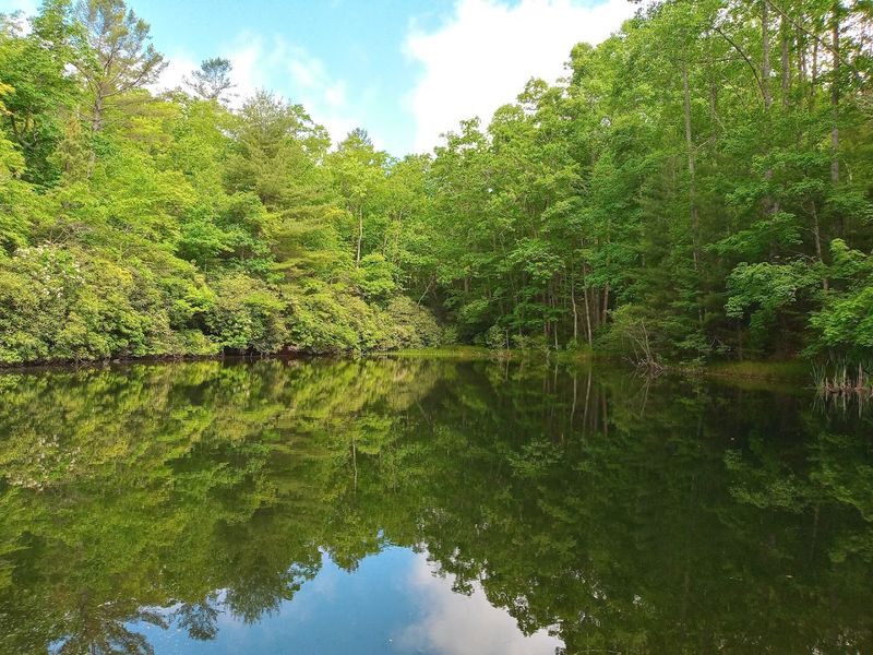 Gorges State Park
