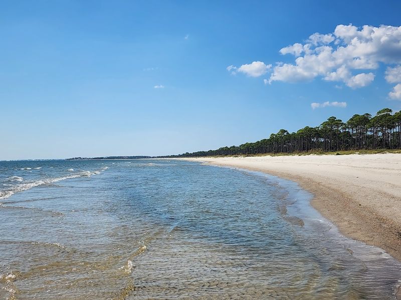 St. Vincent Island National Wildlife Refuge (near Apalachicola)