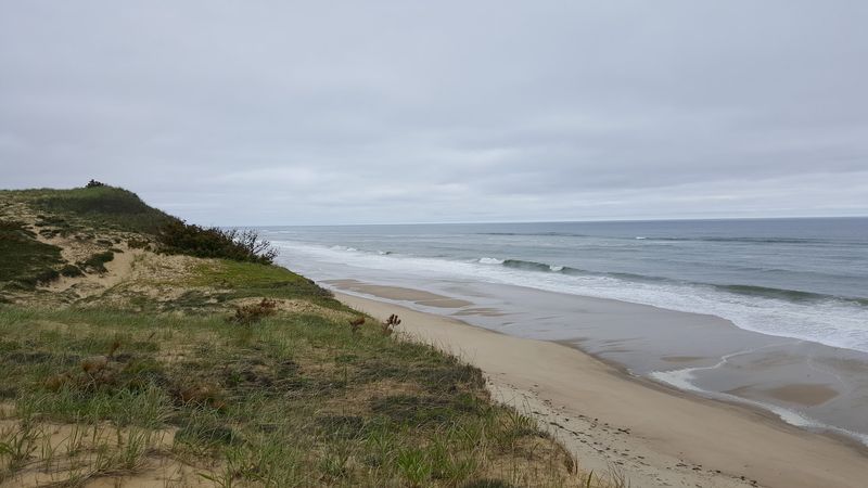 Duxbury Beach (Duxbury)