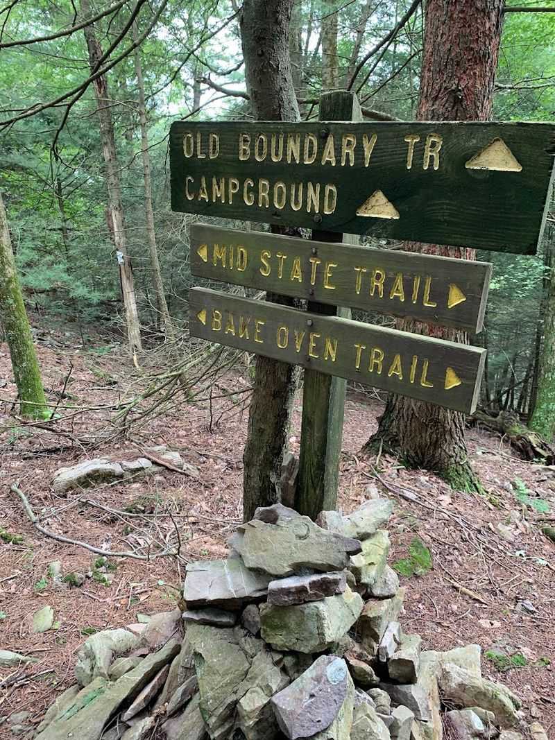 Forest Trails Filled With Mountain Views