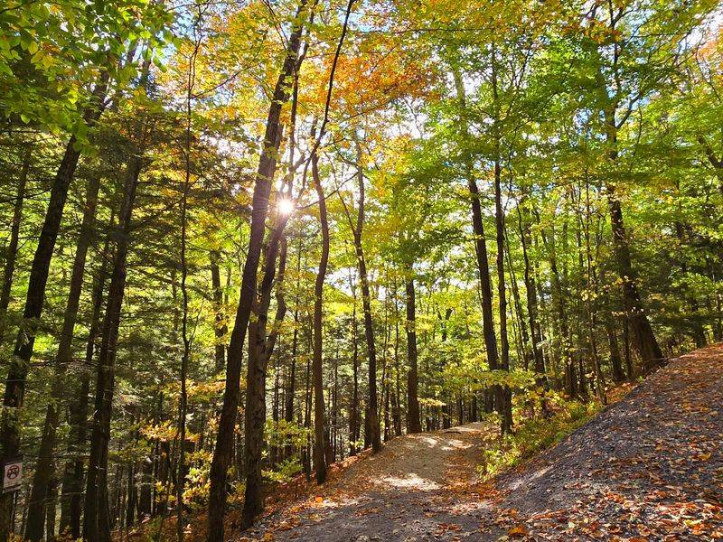 Bash Bish Falls Trail – Mount Washington