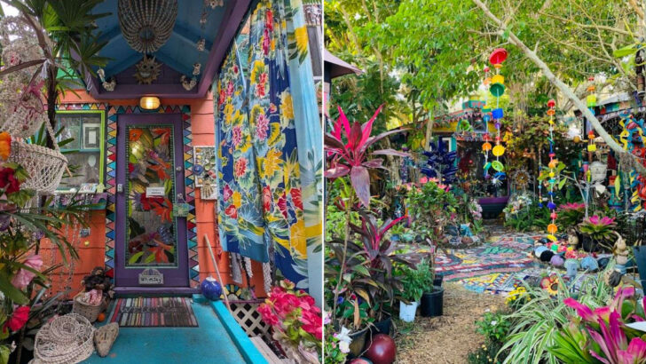 Hand-Painted Signs and Creative Chaos Turn This Florida Art Spot Into a True Hidden Gem