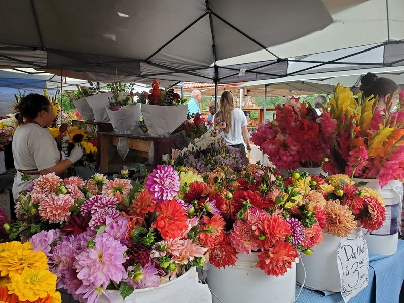 Cut Flowers and Potted Plants