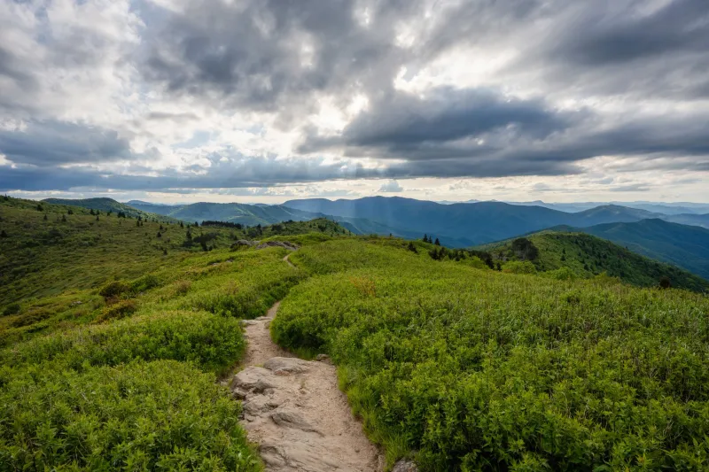 Waterfall Hunting in Transylvania County - Brevard, Transylvania County