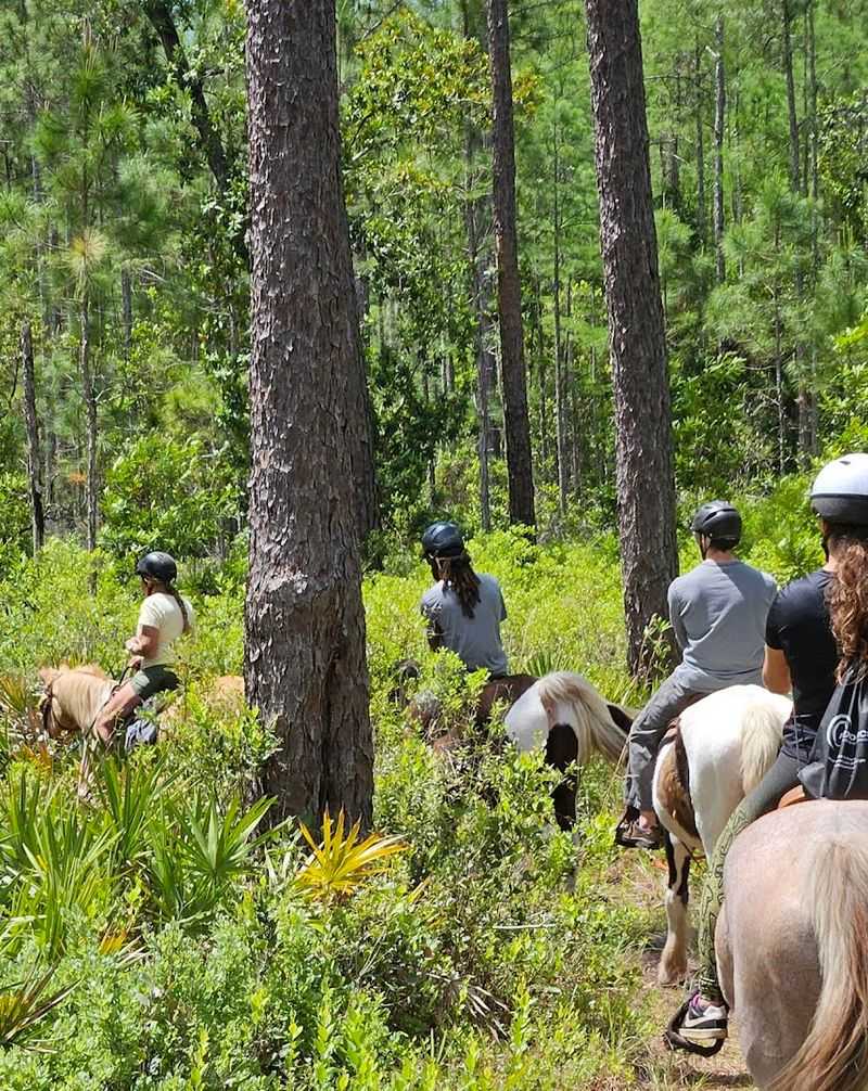 Orange Blossom Trail Rides (Dunnellon)