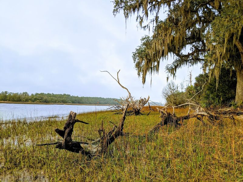 Skidaway Island State Park