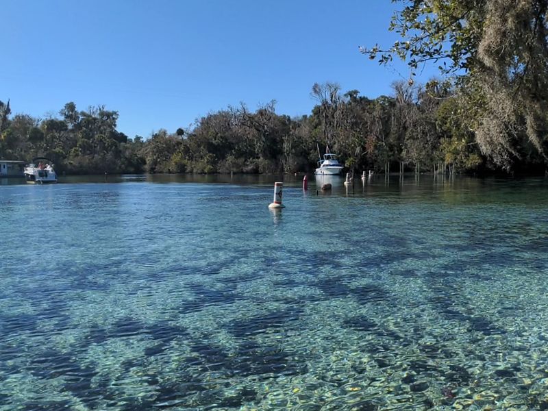 Silver Glen Springs