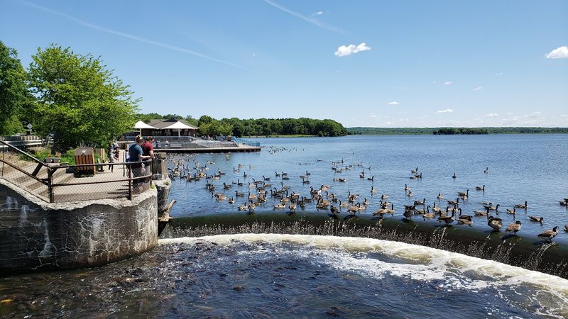 Pymatuning State Park Spillway, Linesville