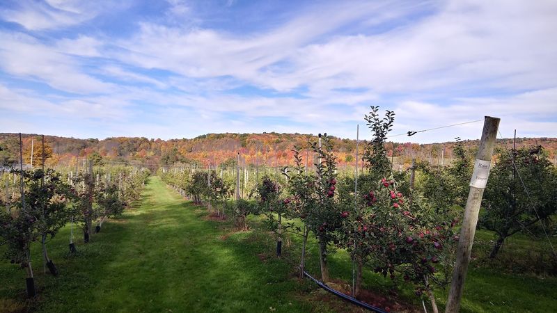 Russell Farms (Brackney, PA)