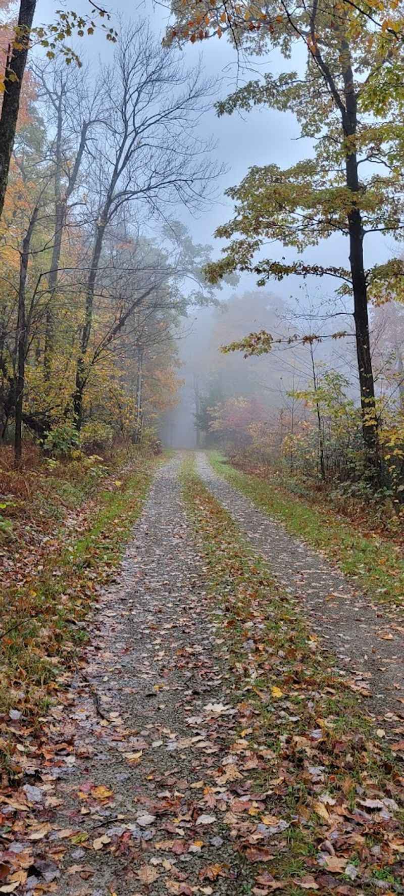 Laurel Highlands Hiking Trail