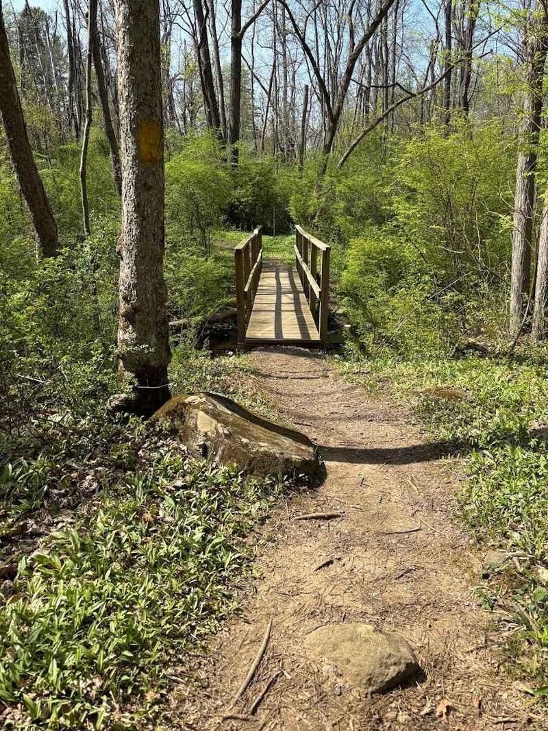 Nockamixon State Park