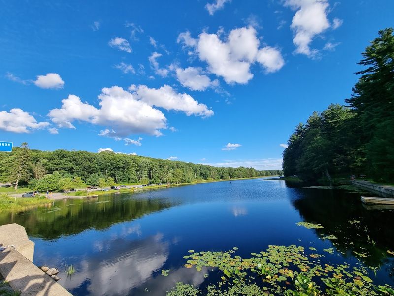 Black Moshannon State Park (Black Moshannon Lake)