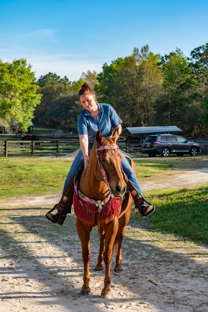 Happy Acres Ranch (Dunnellon)