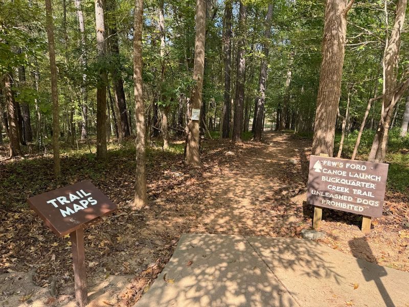 Cox Mountain Trail