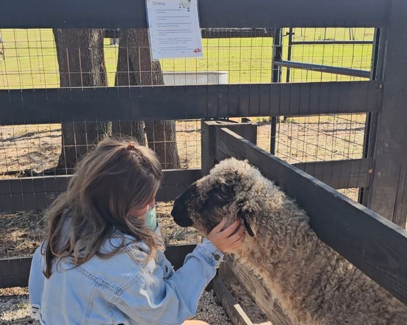 The Petting Zoo Feels Personal Instead of Overcrowded
