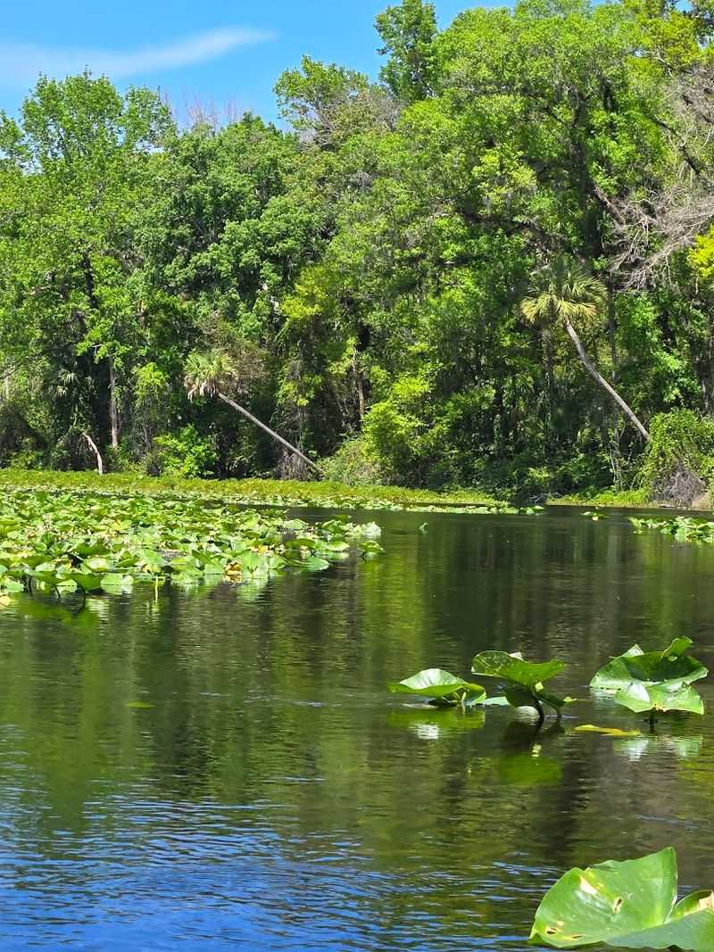 Alexander Springs Loop Trail 