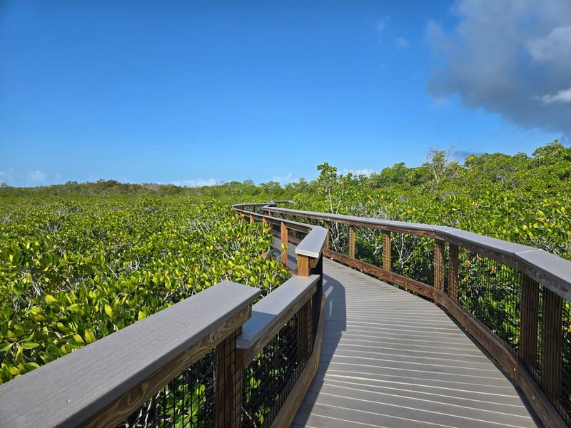 John Pennekamp Coral Reef State Park &ndash; Mangrove Trails & Coastal Nature Walks