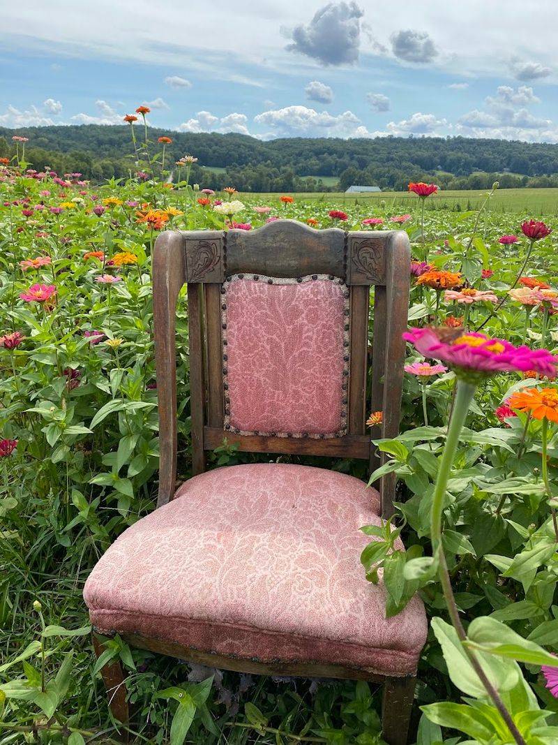 Flinchbaugh's Orchard & Farm Market (Hellam, PA)