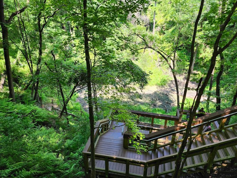 Devil's Millhopper Geological State Park – Gainesville