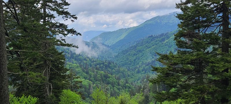 Tallulah Falls Scenic Highway (US-441 Corridor & GA-15 Spur)