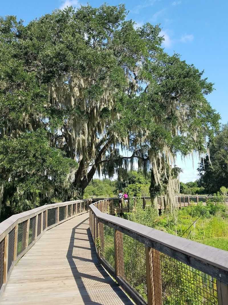 Paynes Prairie Preserve State Park &ndash; La Chua Trail Wildlife Viewing