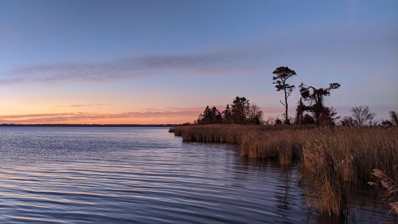 Lake Mattamuskeet 
