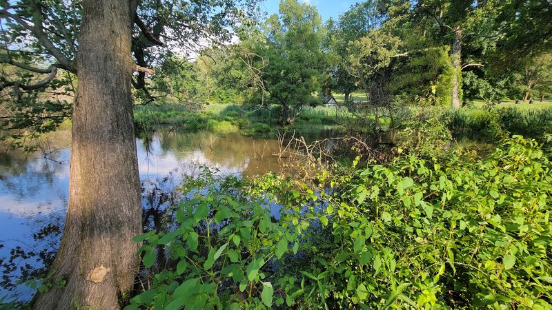 Lakeside Views, Trails, and Quiet Corners