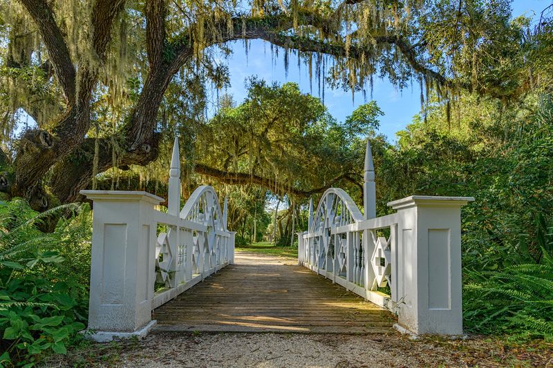 Easy Nature Trails Beneath Towering Oaks