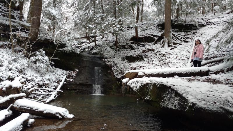Winter Ice Formations