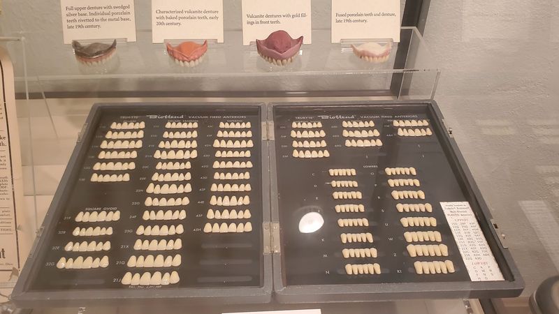 The Dental Museum (Bainbridge)