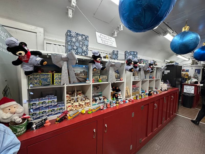 Onboard Amenities and Concessions
