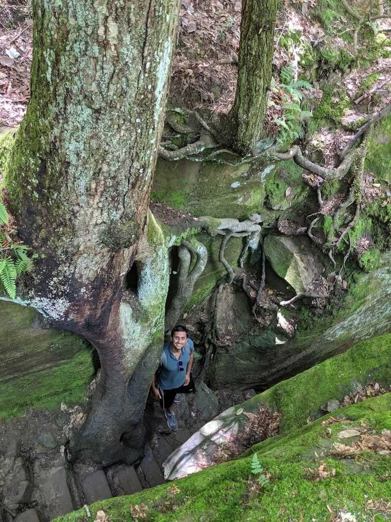 Cantwell Cliffs – Steep Ledges and Hidden Forest Drop-Offs