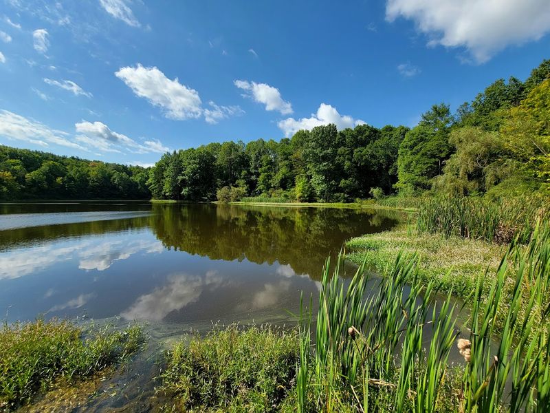 Cuyahoga Valley National Park – Rolling Green Valleys Between Major Cities