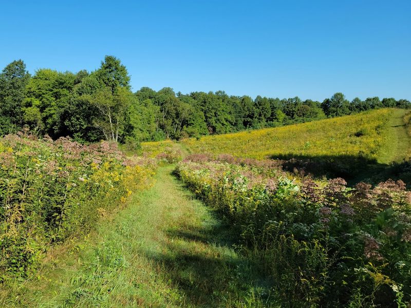 Cuyahoga Valley National Park &mdash; Best for Scenic Variety and All Skill Levels