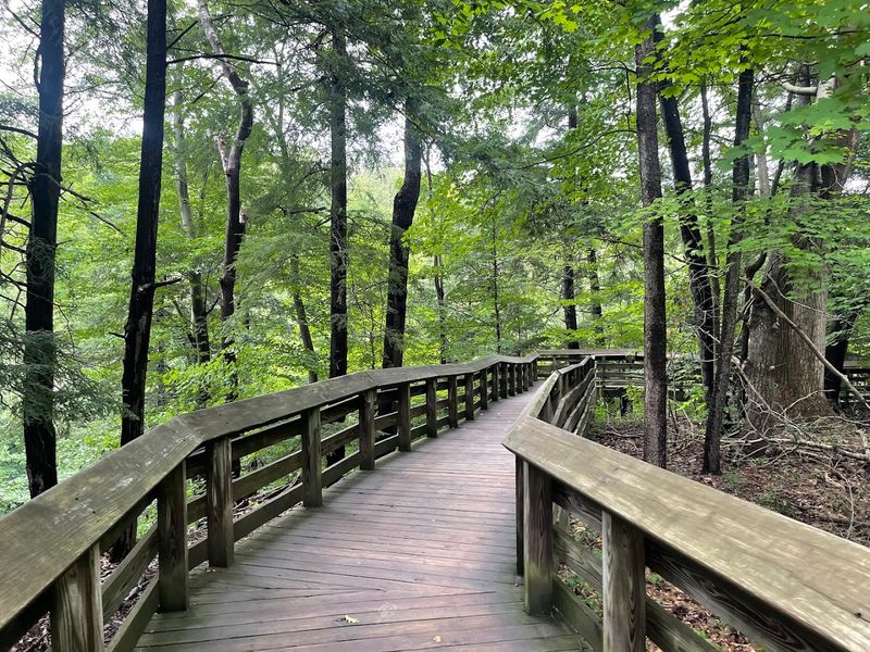 Cuyahoga Valley National Park - Brecksville, Summit County