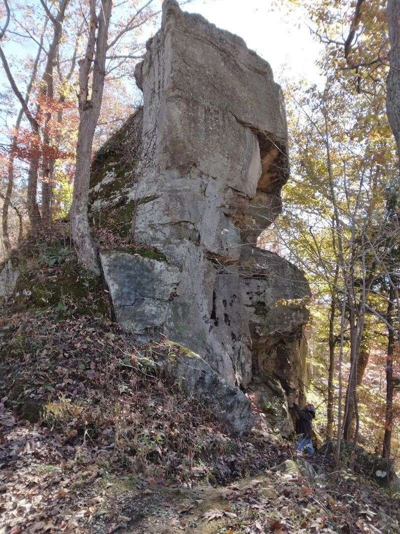 Zaleski State Forest
