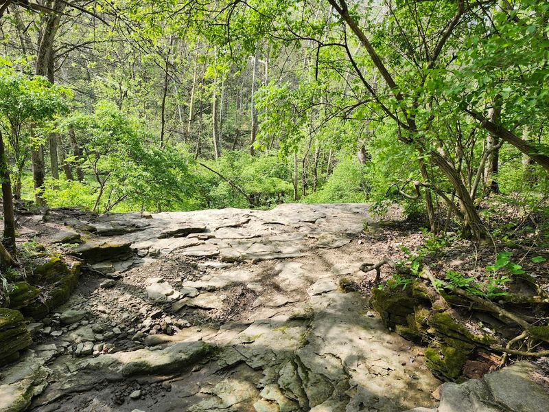 John Bryan State Park Climbing Area
