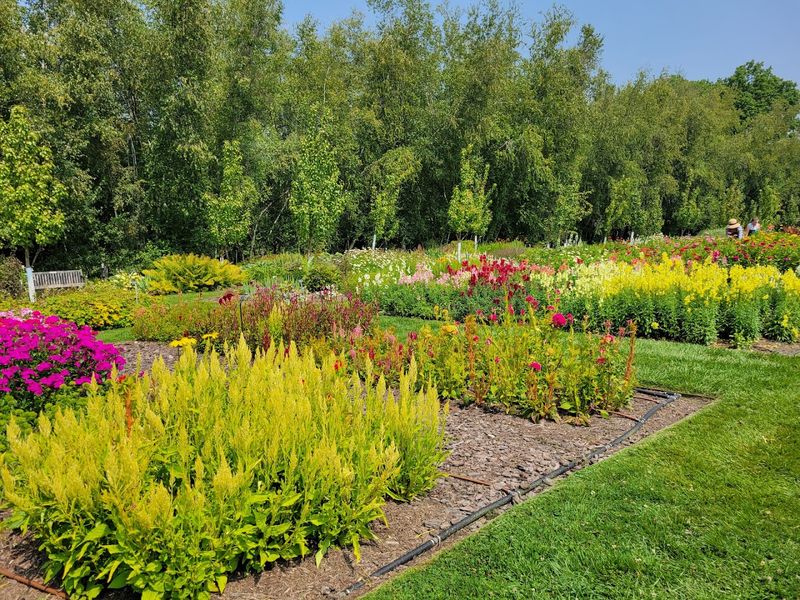 Stan Hywet Hall & Gardens (Akron)