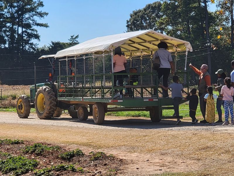 Tractor-Pulled Hayride With Farm History