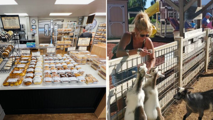Homemade Pie and Small-Town Charm Still Define This Pennsylvania Bakery