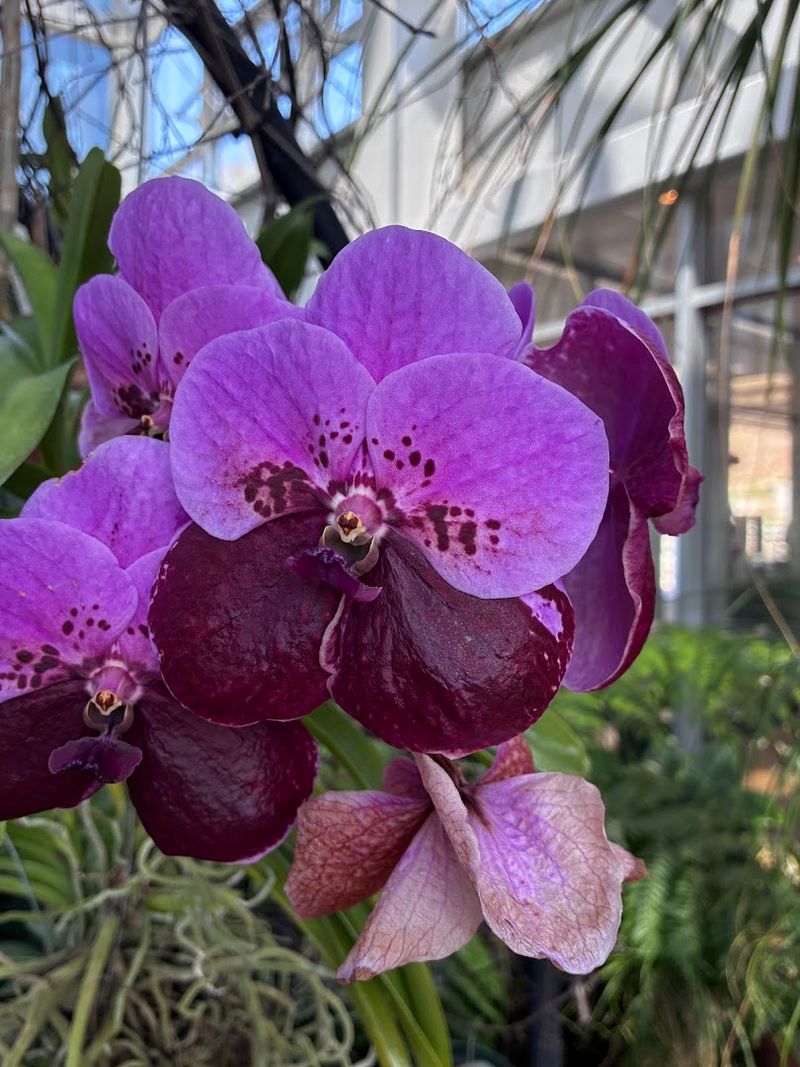 State Botanical Garden of Georgia (Athens)
