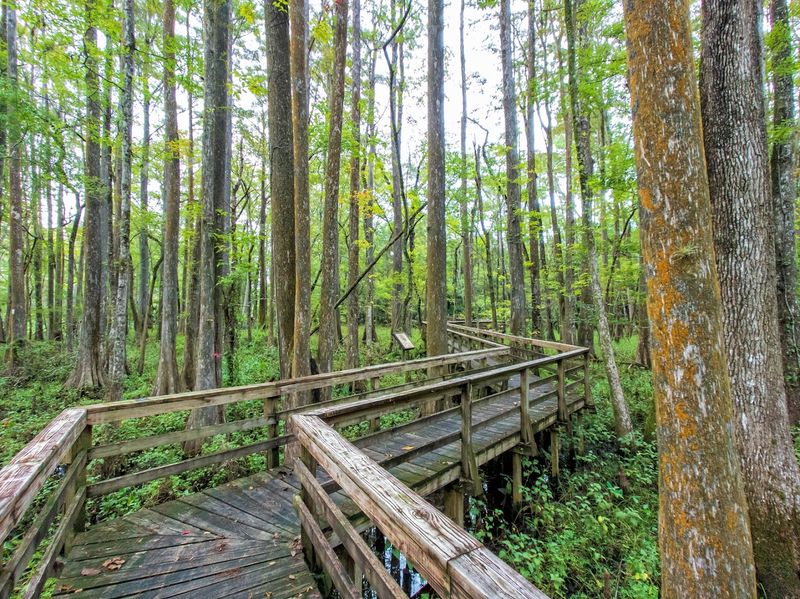 Lower Suwannee National Wildlife Refuge