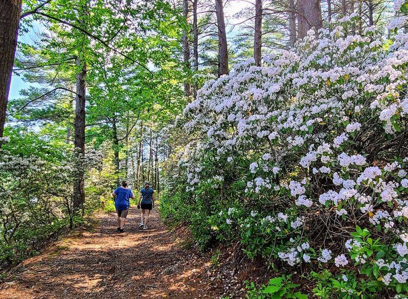 Maudslay State Park